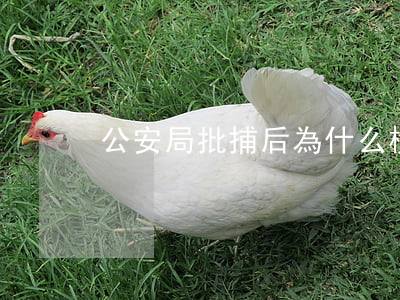 公安局批捕后，為什么檢察院查不到？